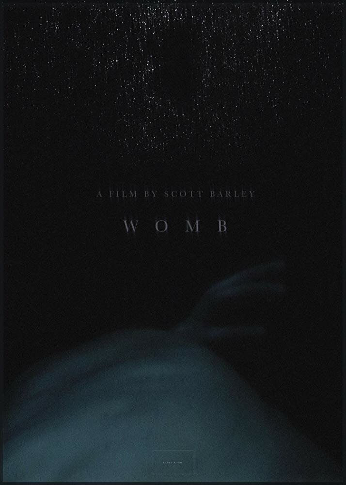 Womb (2017) постер