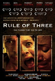 Правило трёх (2008) постер