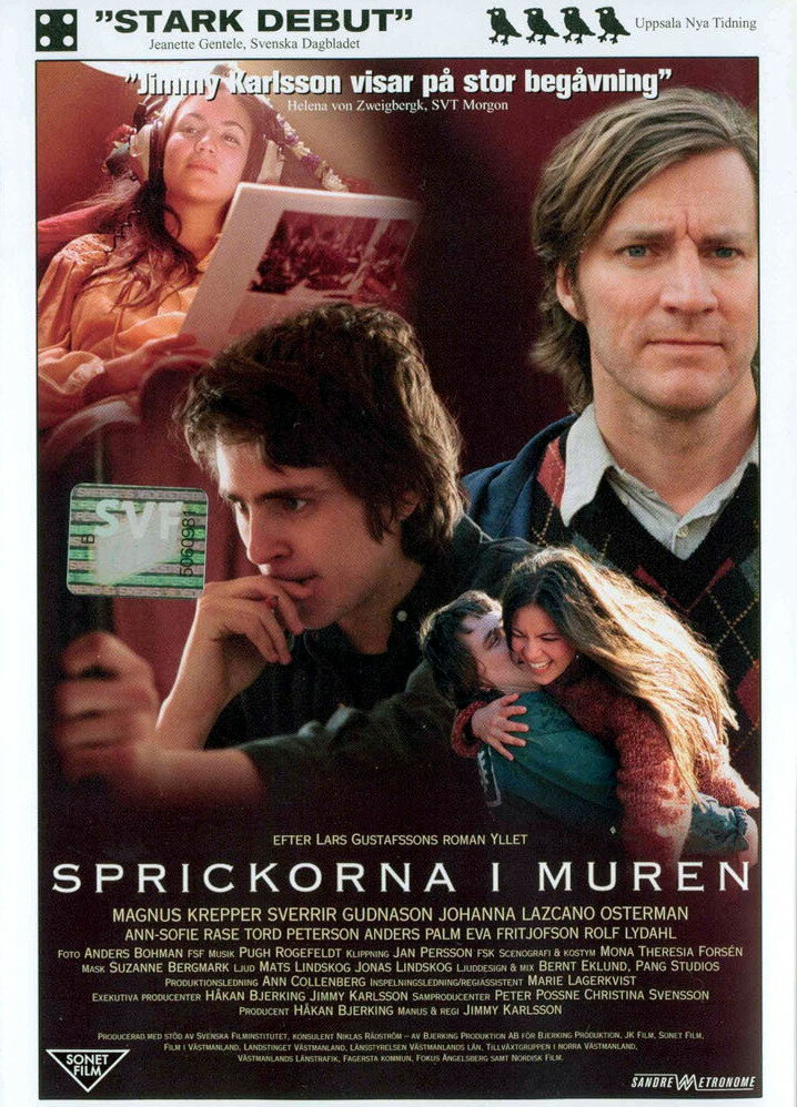 Sprickorna i muren (2003) постер