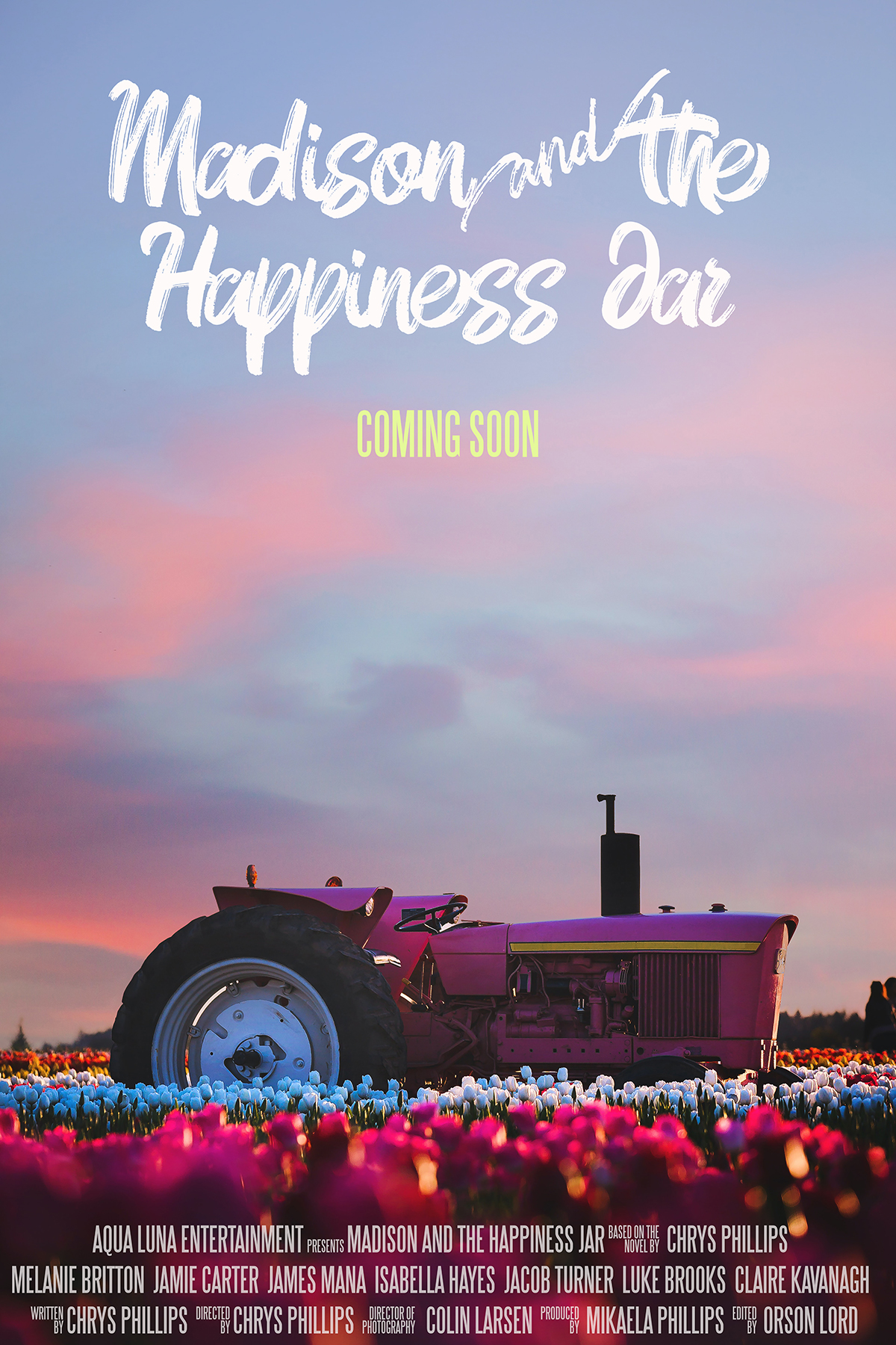 Madison and the Happiness Jar постер