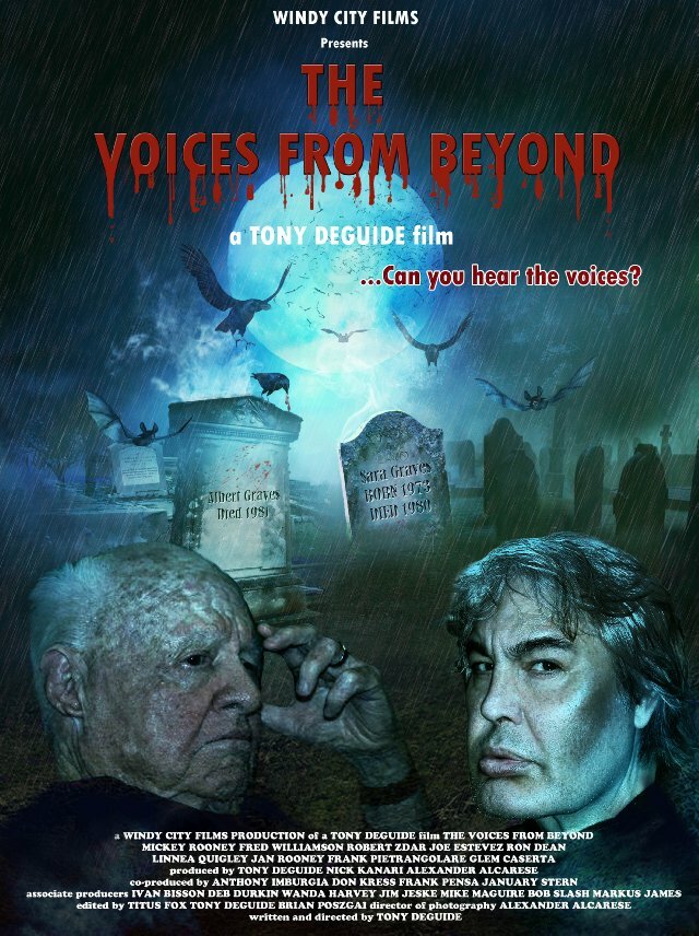 The Voices from Beyond (2012) постер