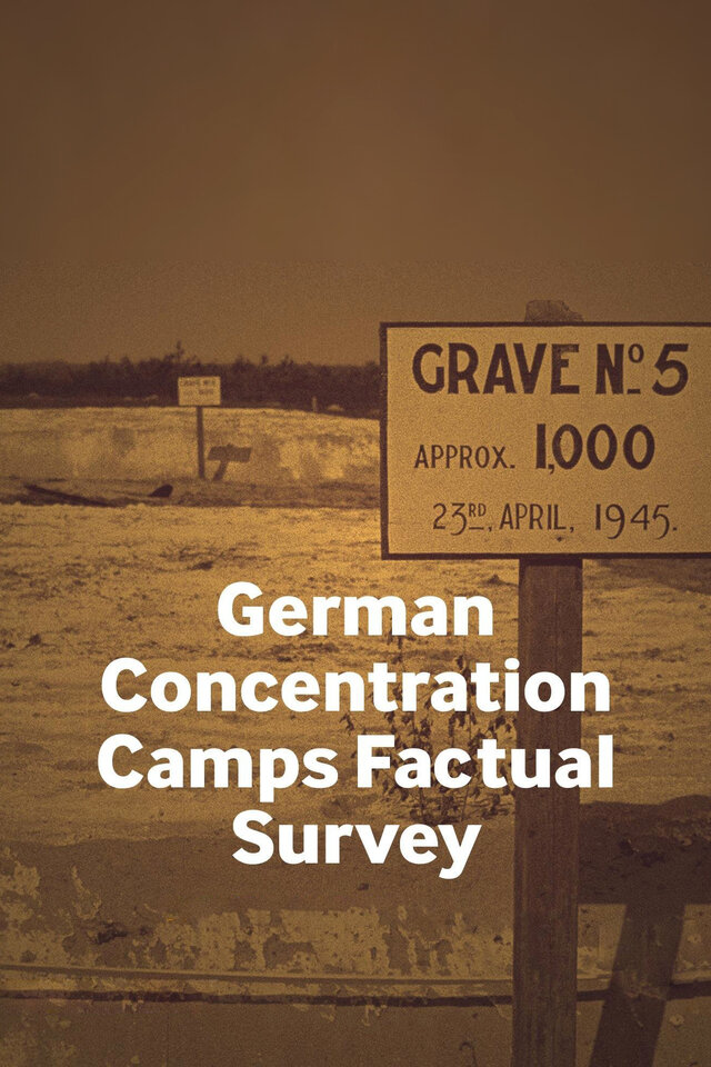 Факты о немецких концентрационных лагерях (2017) постер