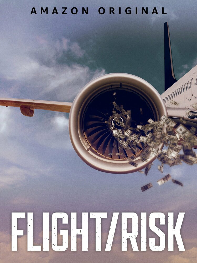 Полёт/риск (2022) постер