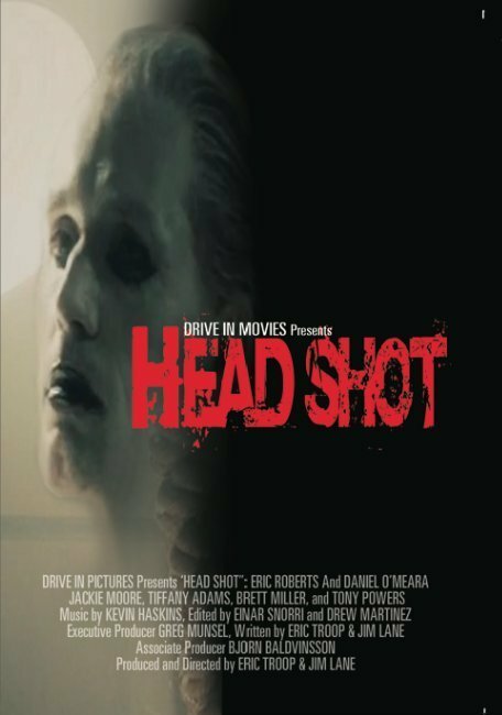 Head Shot (2014) постер