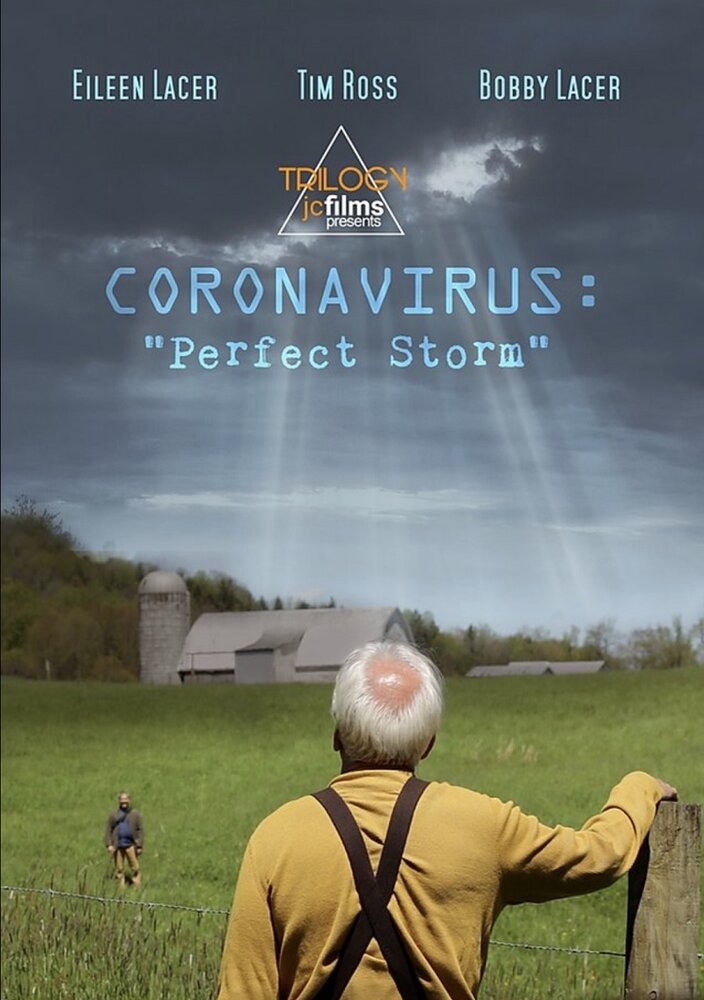 Coronavirus: Perfect Storm (2020) постер