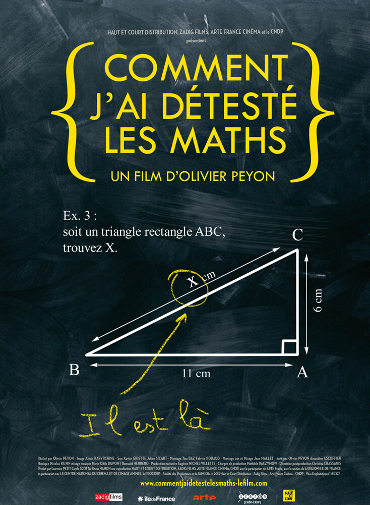 Как я возненавидел математику (2013) постер