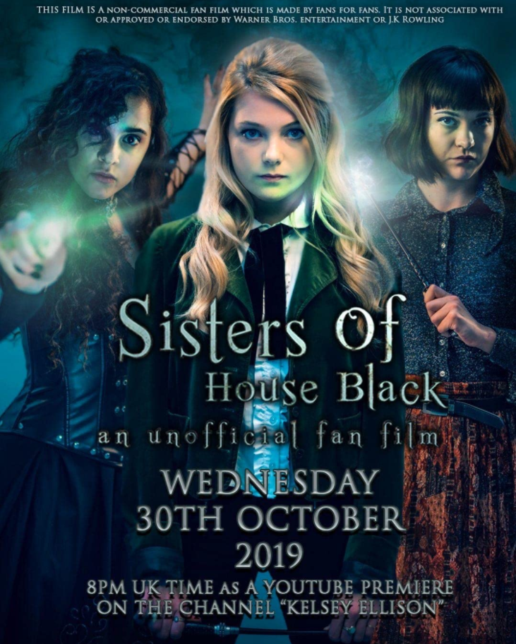 Сёстры дома Блэк (2019) постер