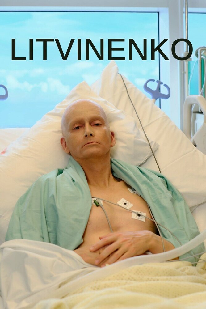 Литвиненко (2022) постер