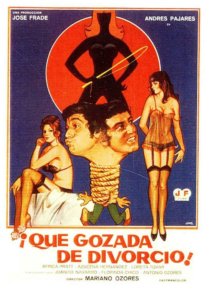 ¡Qué gozada de divorcio! (1981) постер