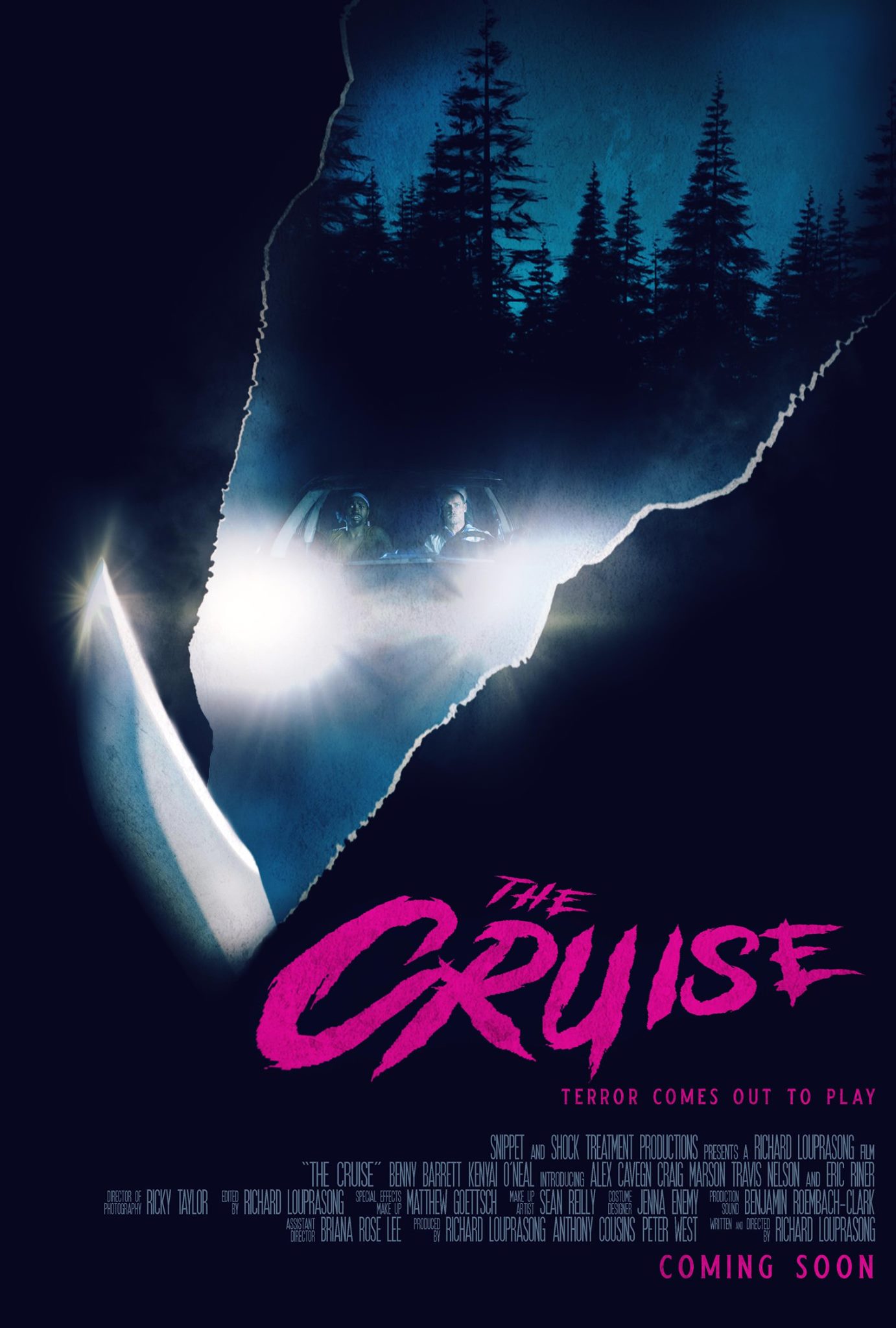 The Cruise (2020) постер