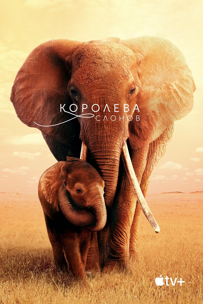 Королева слонов (2018) постер