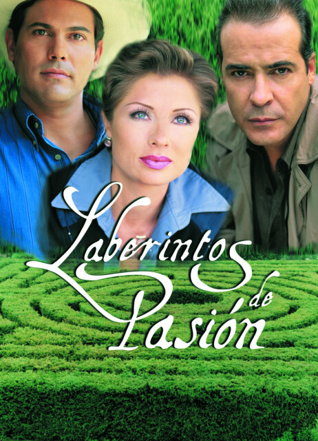 Лабиринты страсти (1999) постер