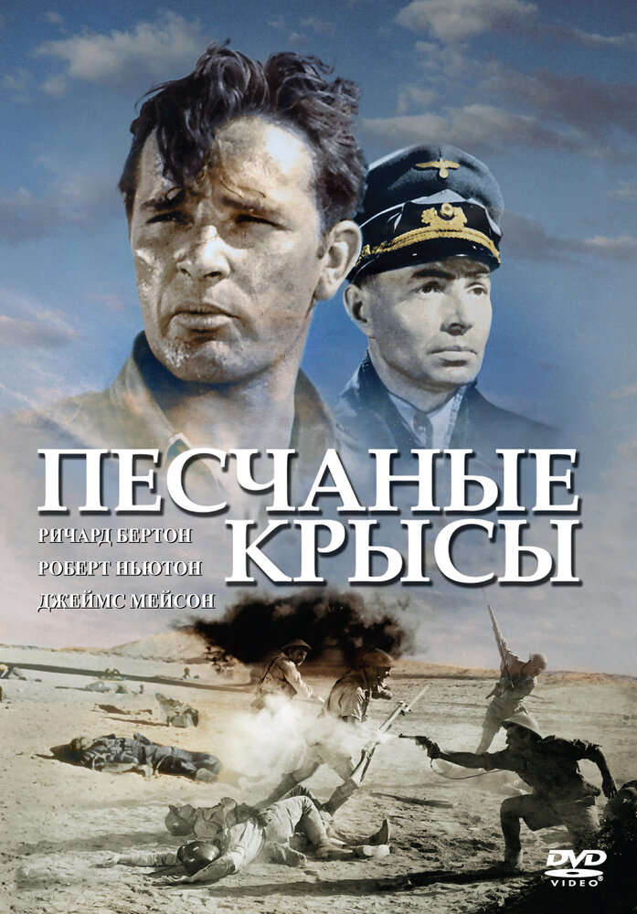 Песчаные крысы (1953) постер