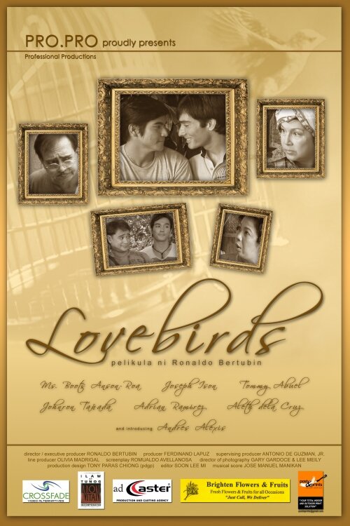 Влюблённые пташки (2008) постер