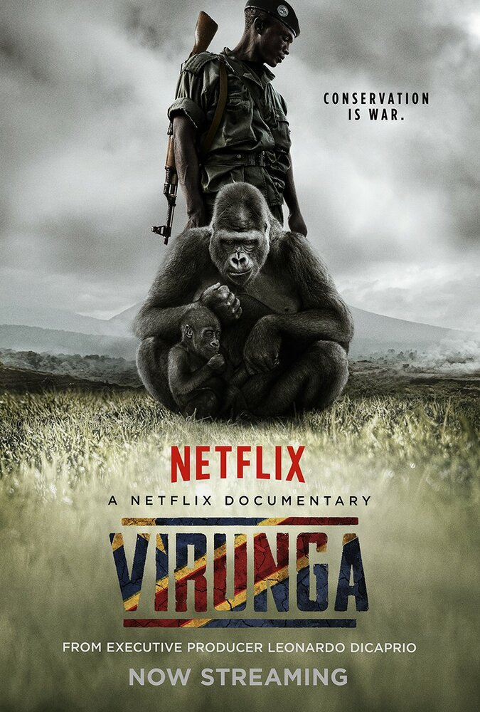 Вирунга (2014) постер