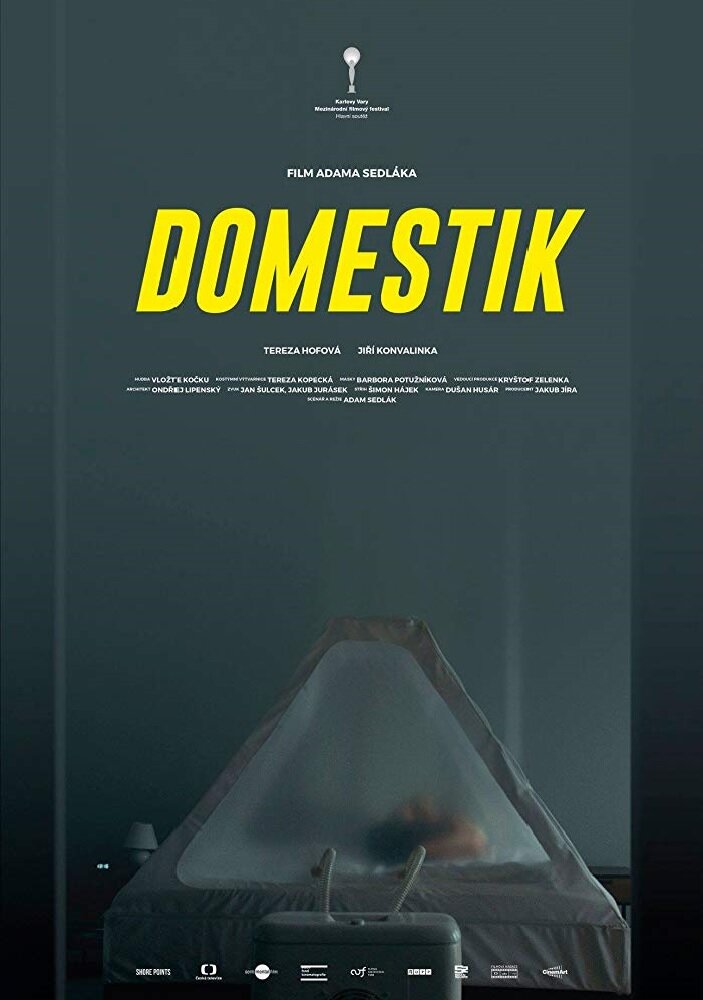Домашний режим (2018) постер