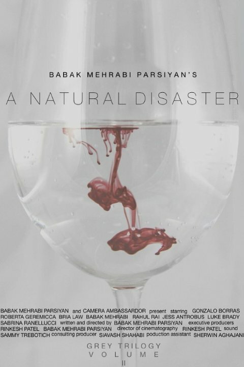 A Natural Disaster (2016) постер