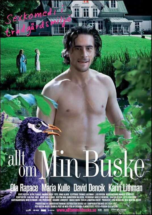 Allt om min buske (2007) постер