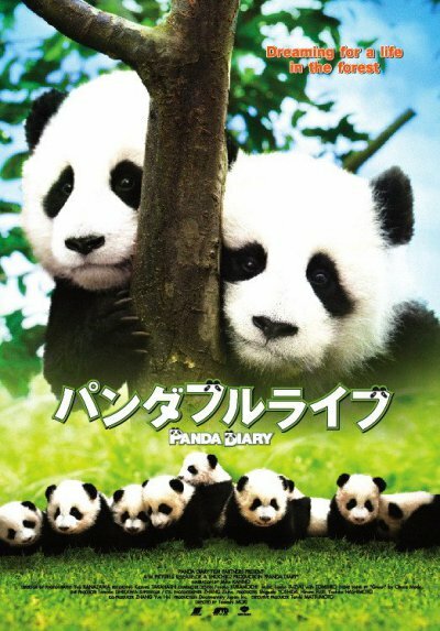 Дневник панды (2008) постер
