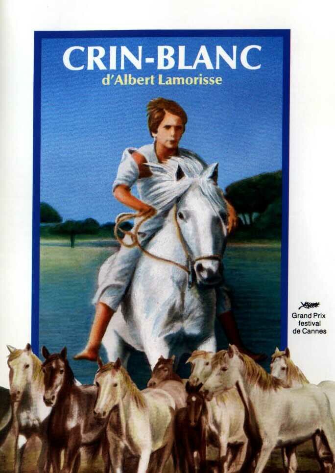 Белая грива: Дикая лошадь (1953) постер