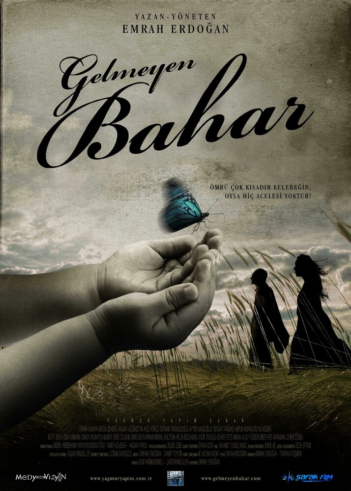 Gelmeyen Bahar (2013) постер
