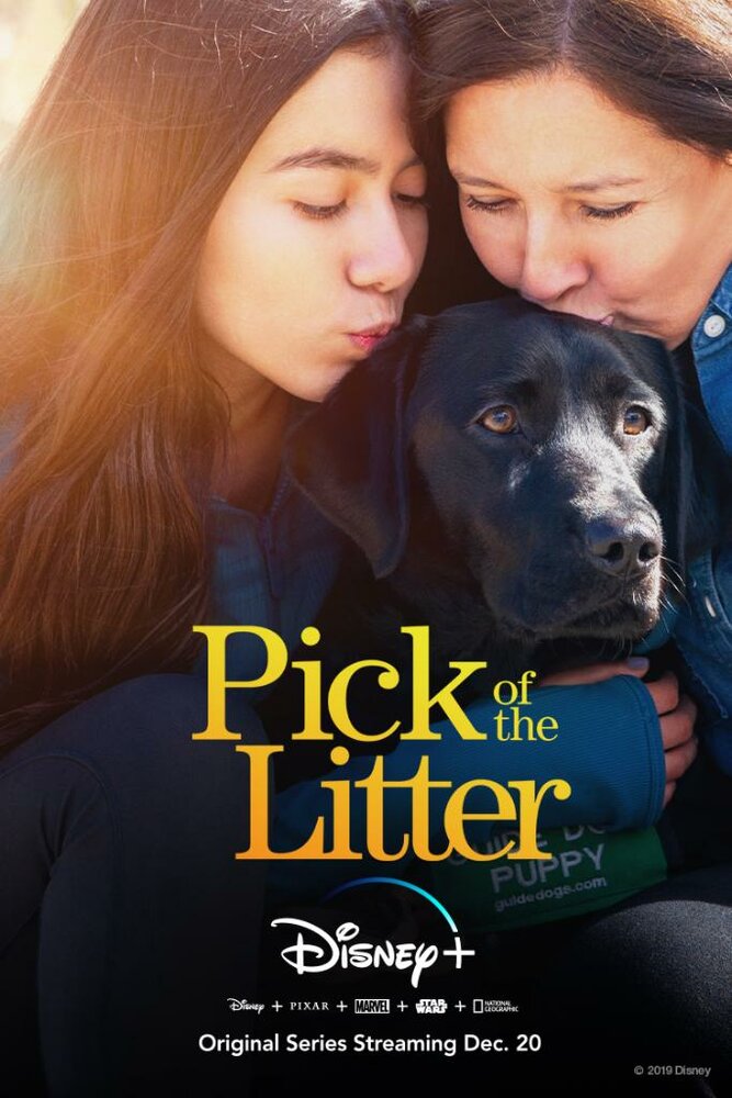 Pick of the Litter (2019) постер