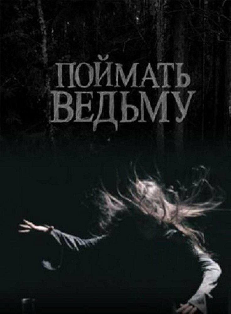 Поймать ведьму (2008) постер