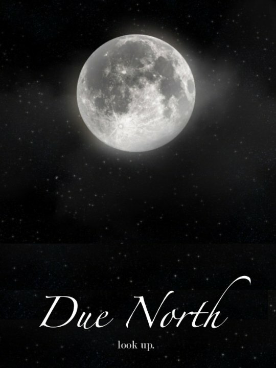 Due North (2014) постер