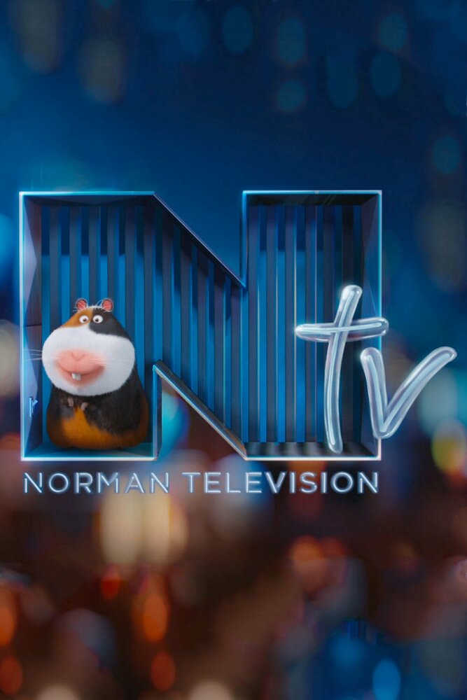 Телевидение Нормана (2016) постер