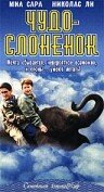 Чудо – слоненок (2001) постер