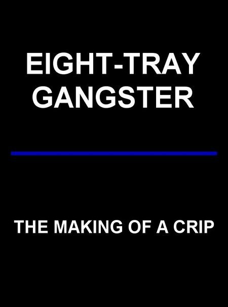 Eight-Tray Gangster: The Making of a Crip (1993) постер