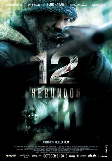 12 секунд (2013)