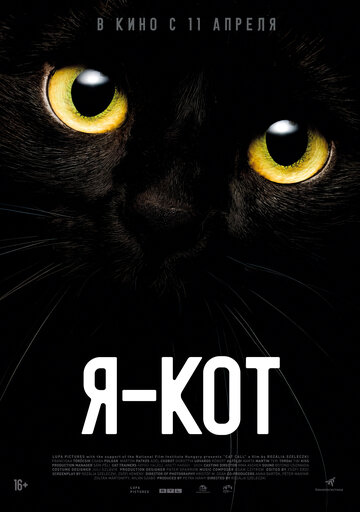 Я — кот (2023)